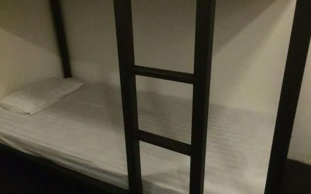 Nature Rex - Hostel