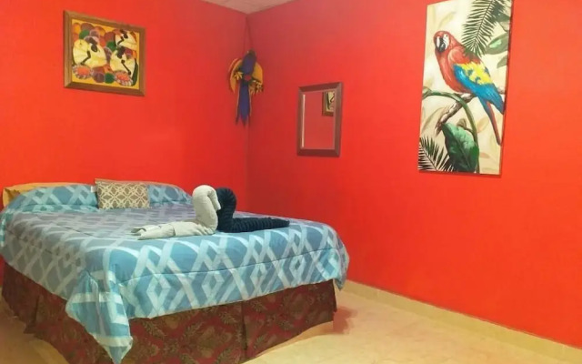 Windmill Hostel