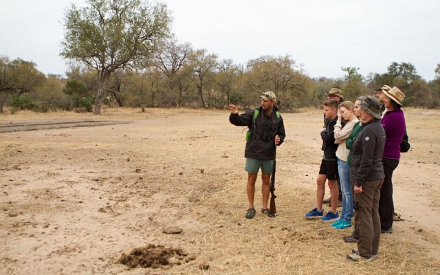 Plains Camp @ Rhino Walking Safaris
