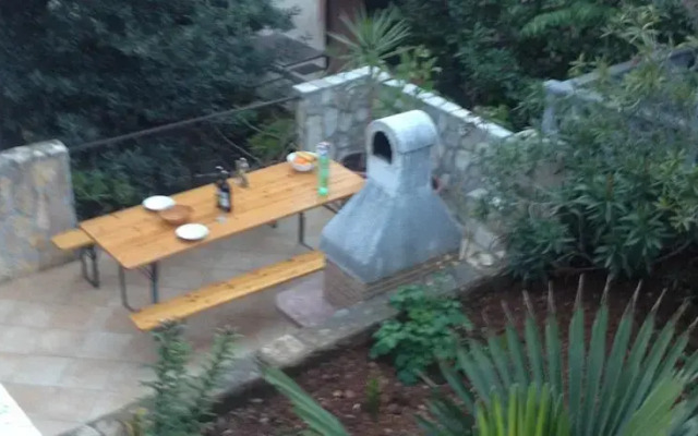 Bed And Breakfast Guest And Dogs Experience