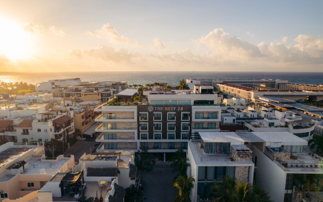 The Reef 28 Hotel & Spa - Luxury Adults Only - All Suites