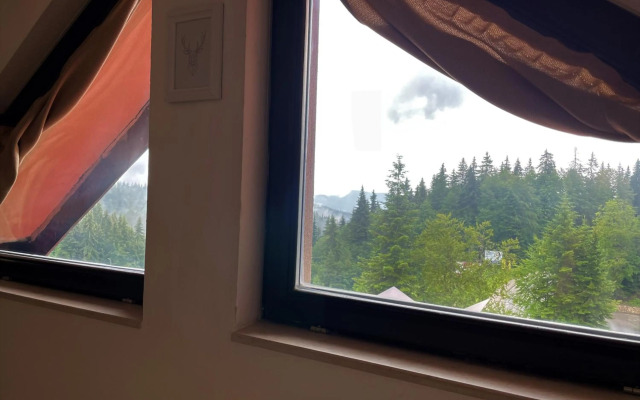 Private Apartment Laplandia 77 (Pamporovo, Bulgaria)