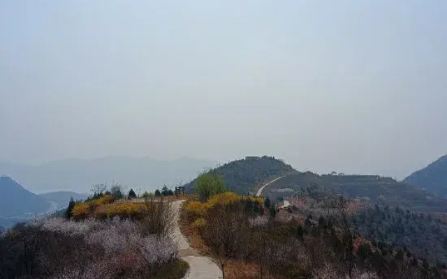 Xibaipo Xiaohang Homestay