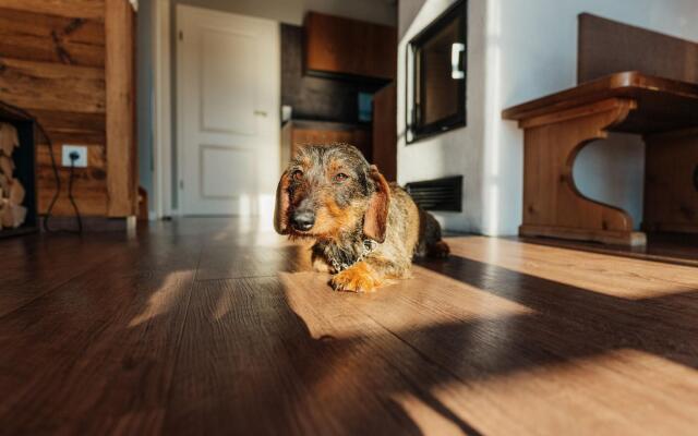 Holiday Homes in the Schierke Harzresort, Schierke