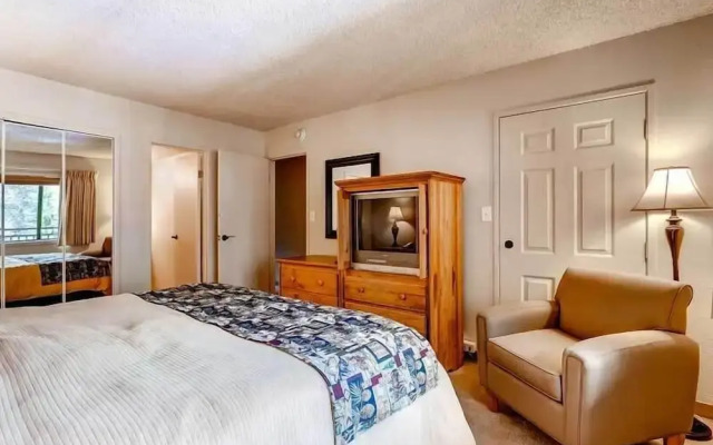 The Wren at Vail
