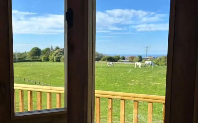 Fernlea Luxury Shepherds Hut - Sleeps 2 & Hot Tub