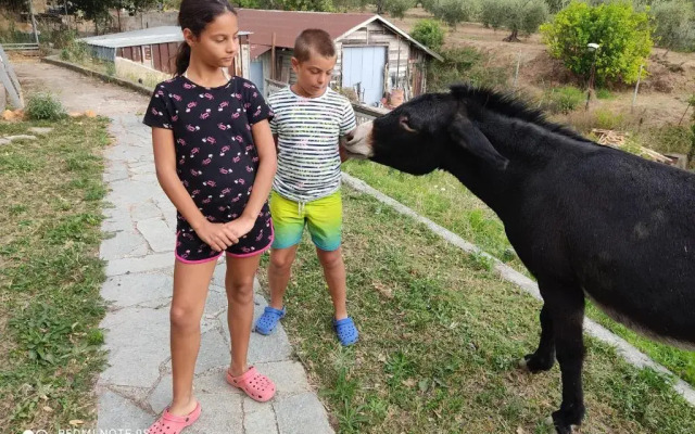 La Gallina Nel Castello