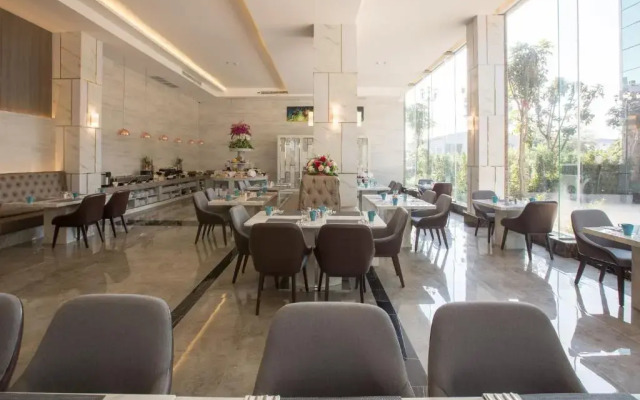 Elegant Airport Hotel