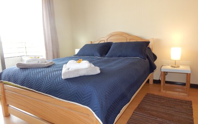 1610 Departamento VS Centro Vina