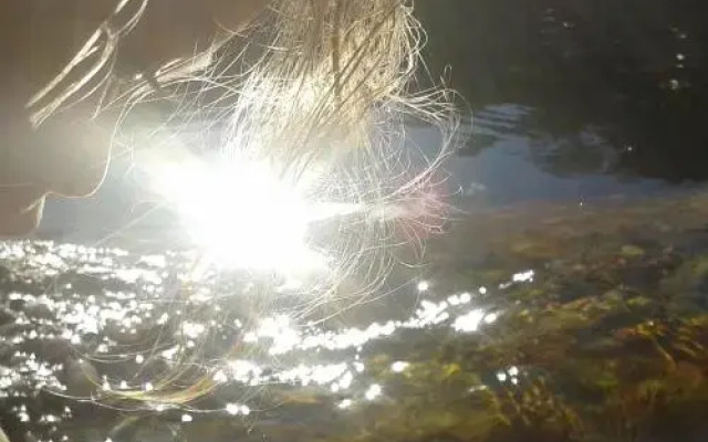 Manna Lar Casa Temporada