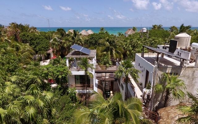 Residencia Gorila