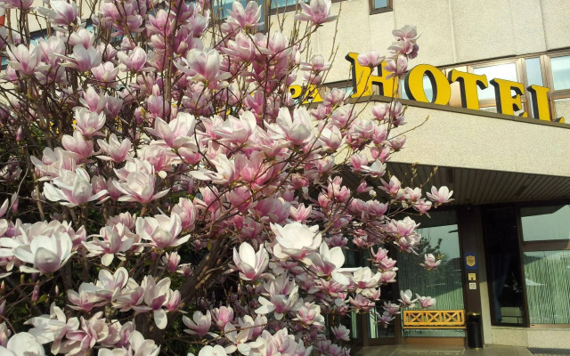 Hotel Saccardi & Spa - Adults Only