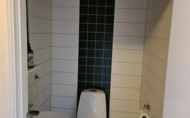 Disponentvillan