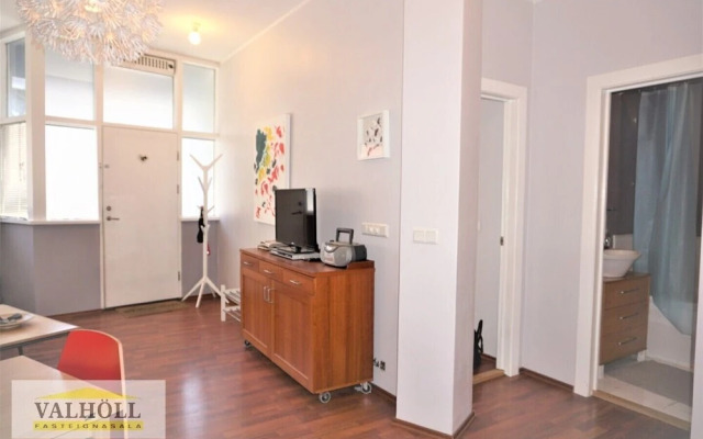 Reykjavik Center Condos