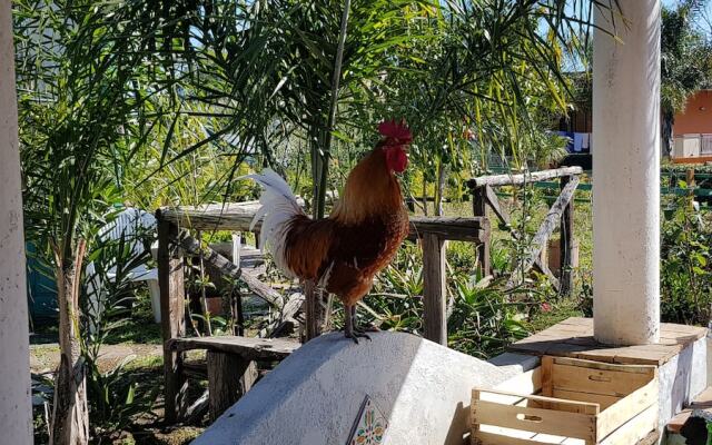 Original Sicily House