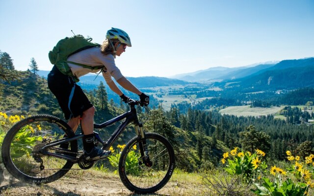 Thyme Out 2 Bedroom Home by NW Comfy Cabins by RedAwning