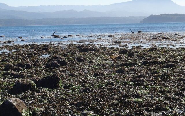 The Oceanfront Hotel