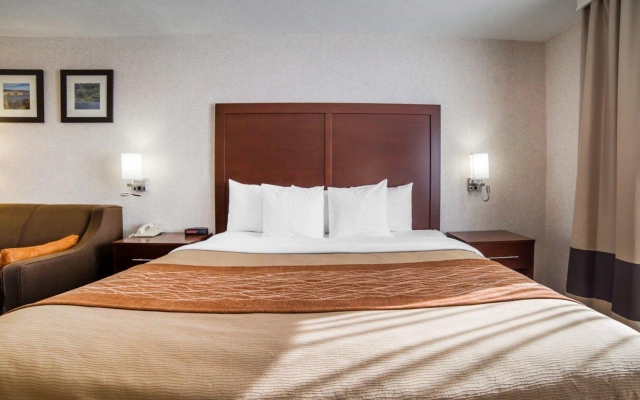 Quality Inn & Suites near NAS Fallon