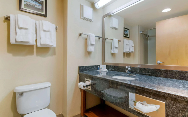 Comfort Inn Mechanicsburg - Harrisburg South