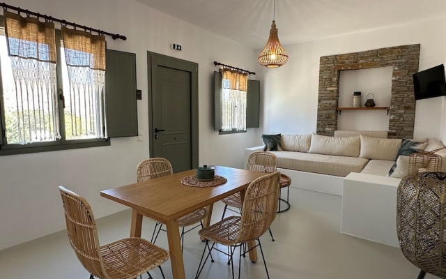 Ammos Andros Accommodation