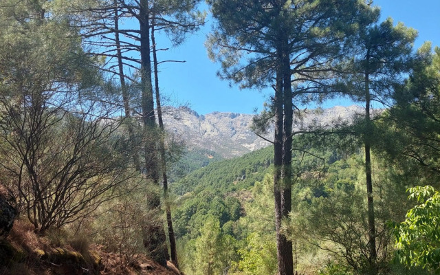 Puente Canto de Gredos
