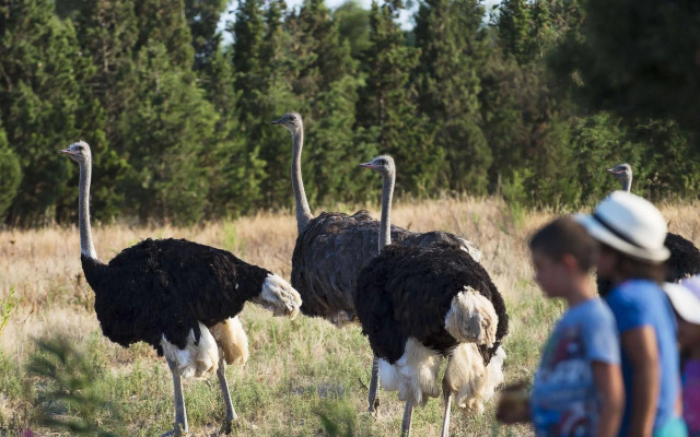 Hotel Rurale Orti di Nora & SPA