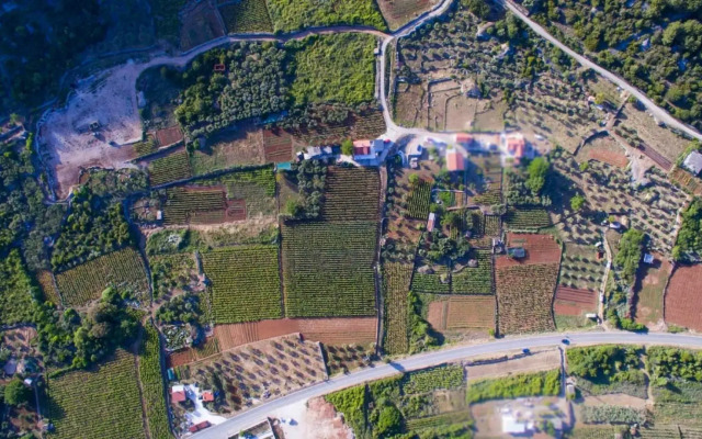 Filip - Vineyard and Large Terrace - SA1 Žuti