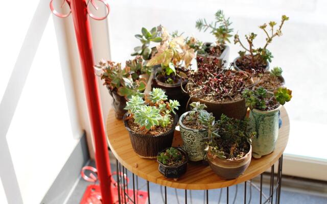 tongyeong wadahauseu