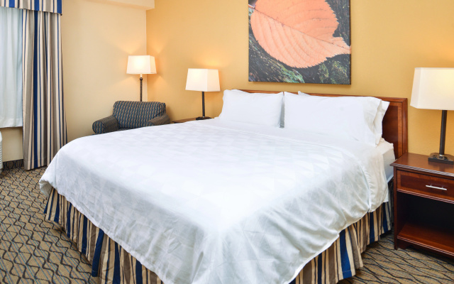 Holiday Inn & Suites Chicago - Downtown by IHG - Image 5