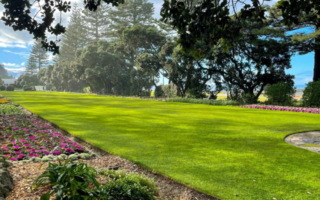 Swiss-Belhotel Napier