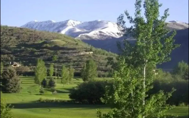Wintergreen Condominiums