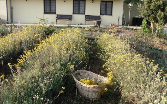 Fragus e Saboris de Sardigna