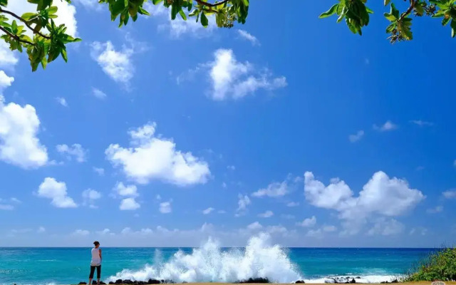 Regency at Poipu Kai #914