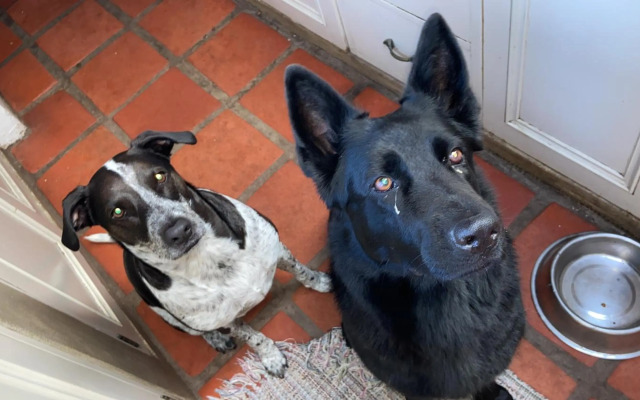 Noordhoek The Lookout