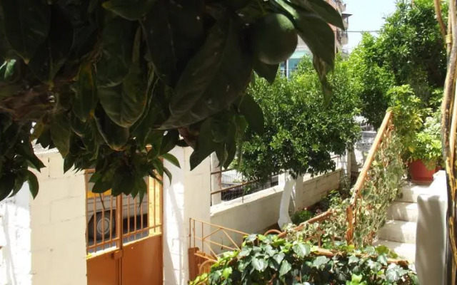 Dolphin Hostel