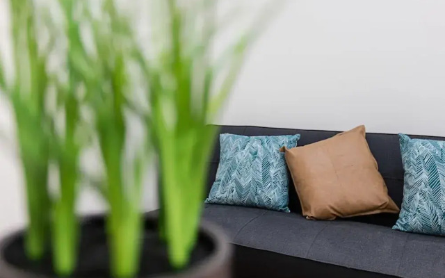 EJ Homes at The Entrance