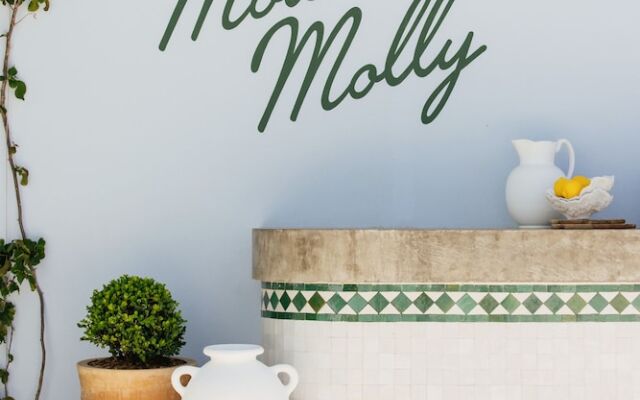 Motel Molly