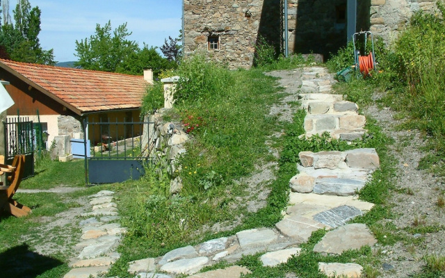 L'asphodèle