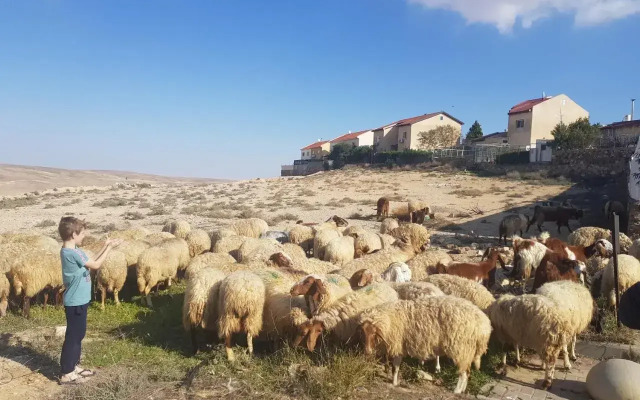 Sun, Mountain & Adventure - Suite