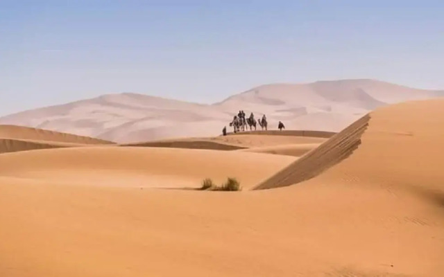 Bivouac LIHOUDI LES JARDINS DE BOUNOU
