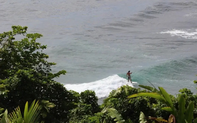 Hilo Honolii Bay Bed and Breakfast