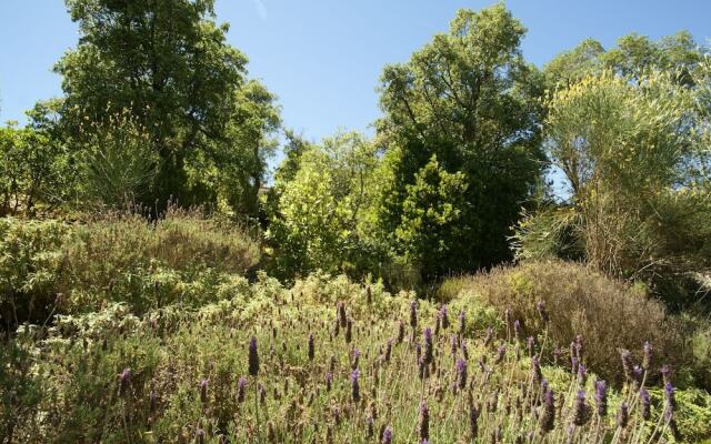 Gorgeous Villa in Santa Cristina D'aro With Pool