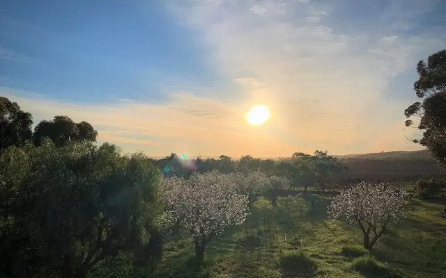 Old Chaff Mill Retreat - - luxury vineyard accommodation