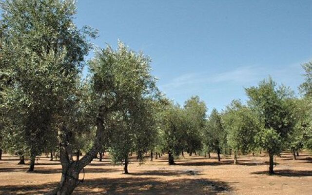 Masseria Bosco di Makyva Farm Home