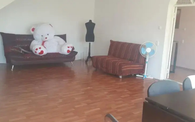 Mini Hotel Mirnyy