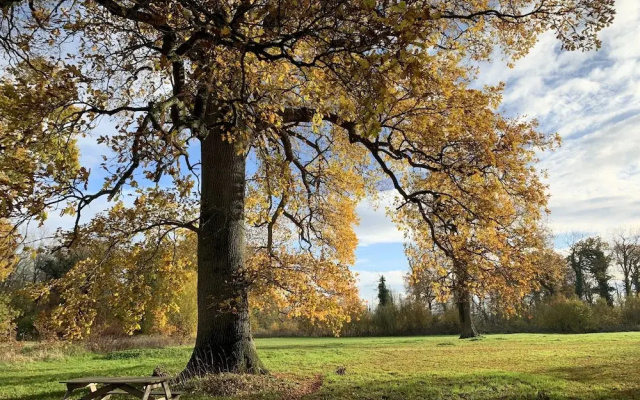 Manoir De Bois En Ardres