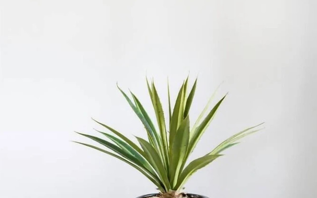 Spa-inspired Modern Oasis Near Downtown Nashville