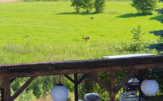 Apartament Kudowa Zdrój - Słone 60m2