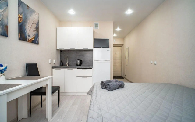 Апартаменты на улице Забалуева 90