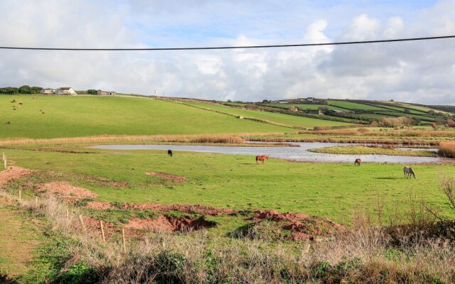 10 Thurlestone Rock